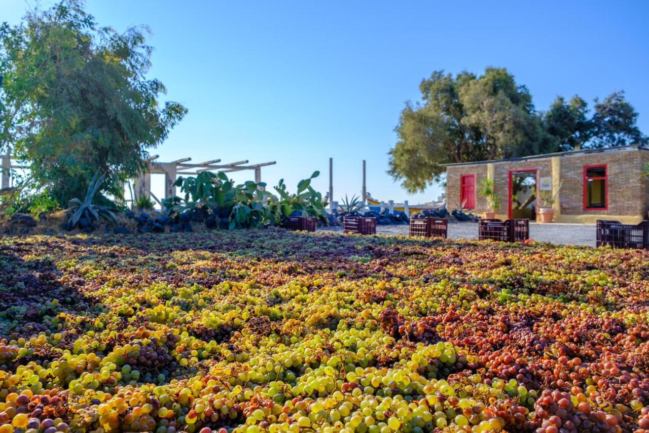 Blue Magic Villas Agia Paraskevi  Dış mekan fotoğraf